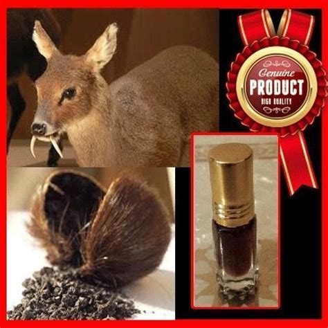 deer musk price